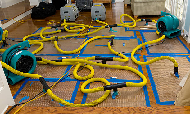 Professional Basement Flood Cleanup technician working in Nevada, MO